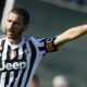 juventus bonucci chelsea