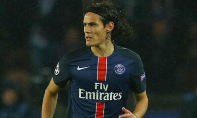 cavani psg rinnovo