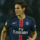 cavani psg rinnovo