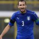 chiellini bis italia novembre 2015 ifa