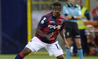 donsah bologna