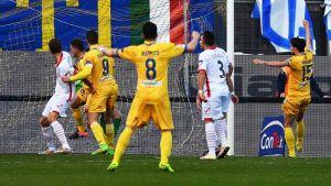 Frosinone-Carpi 0-1: pagelle e tabellino