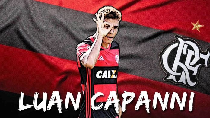 luan capanni