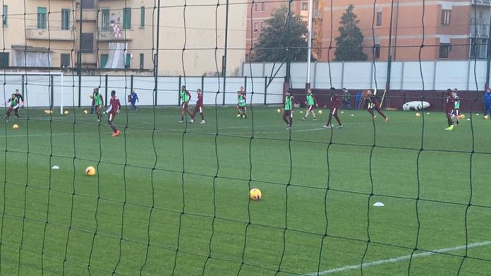 Allenamento Toro