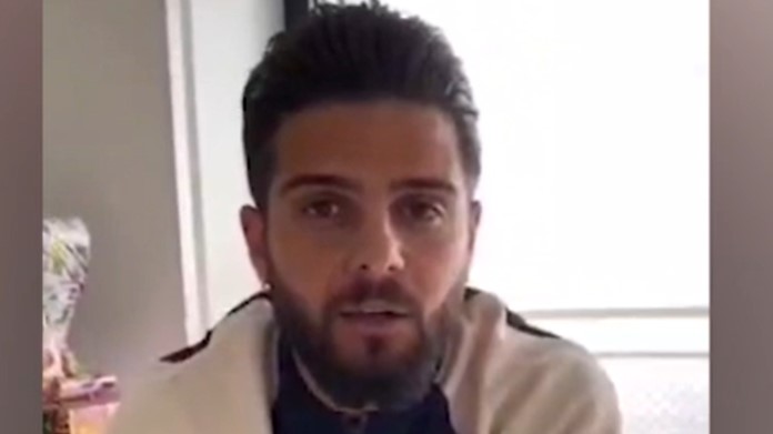 Insigne