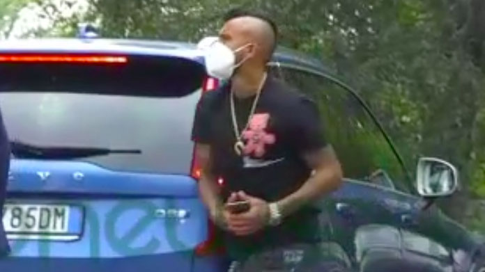 Vidal 5