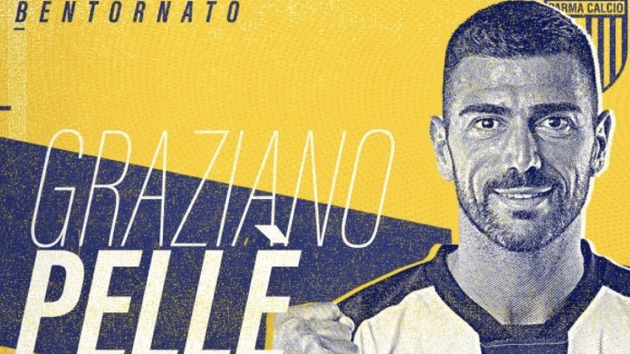 Pelle Parma 1