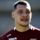 belotti torino