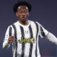 Cuadrado 2