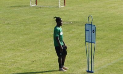 Brian oddei