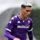 Callejon