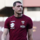 Belotti