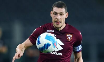 Belotti