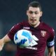 Belotti