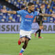 Insigne 3