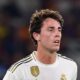 Odriozola
