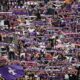 Tifosi Fiorentina