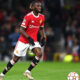 Wan Bissaka