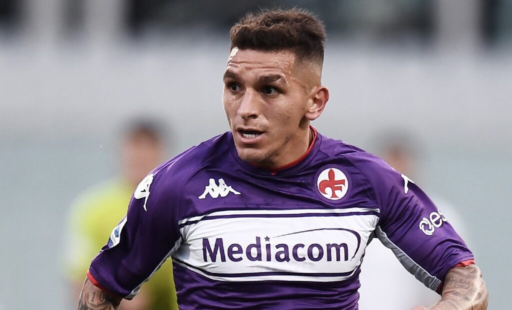 Torreira