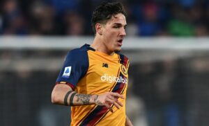 Zaniolo MG8