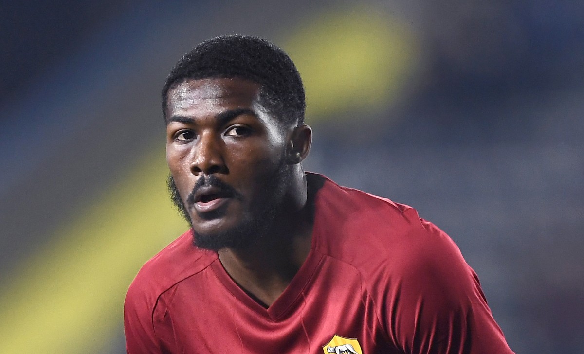 Maitland niles PAP4161