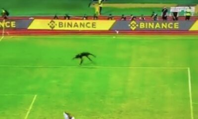 portiere burkina faso