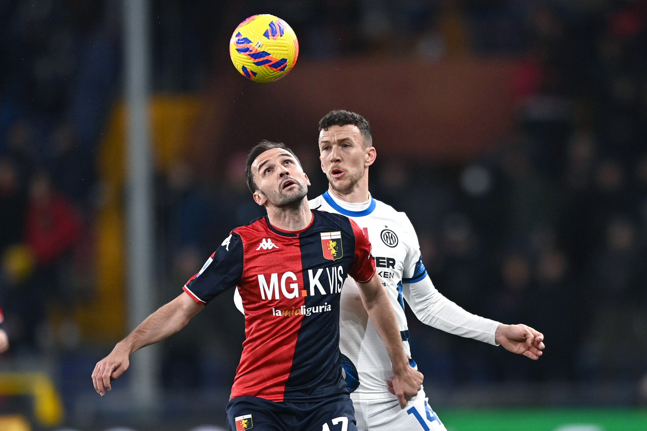 Badelj Perisic MG8 4957 scaled