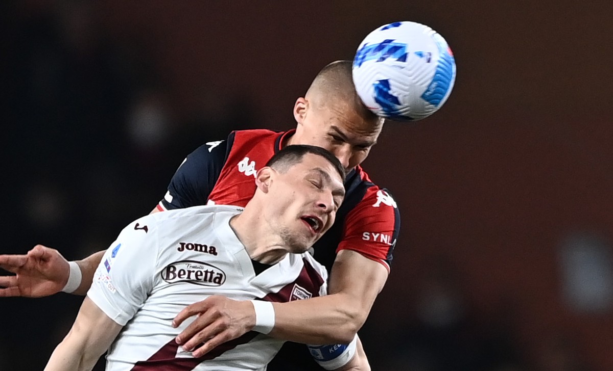 Ostigard Belotti MG8 0208