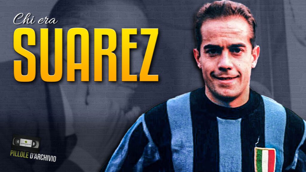 luisito suarez