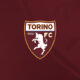 logo torino fc