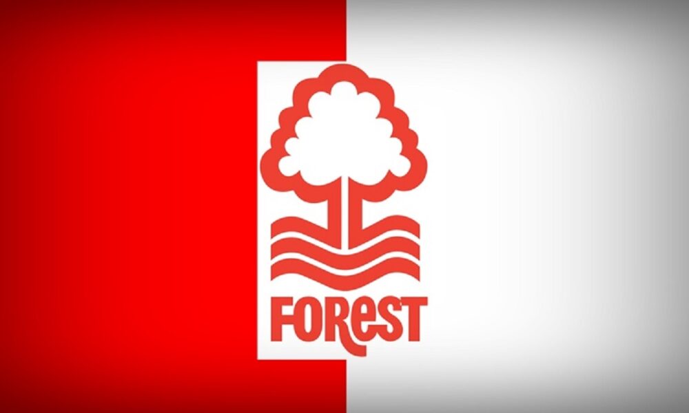 Nottingham Forest, niente Mancini in panchina: il club inglese ha ufficializzato il nuovo allenatore. I motivi della scelta e l’obiettivo da raggiungere