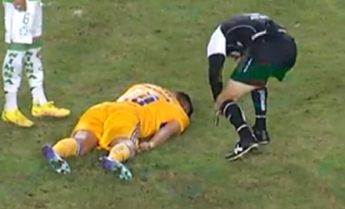 949955ce 89f9 4088 b328 06c7a68a401f