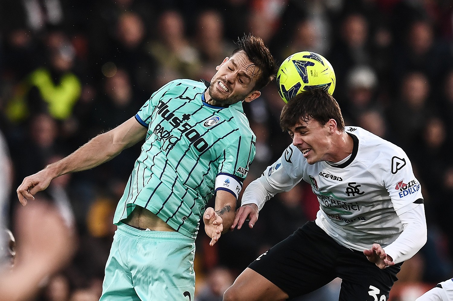 Toloi Maldini MP19916