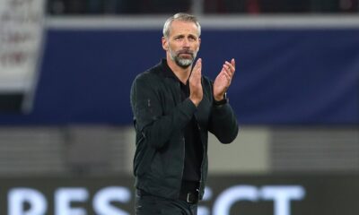 Rose imago1015624476h