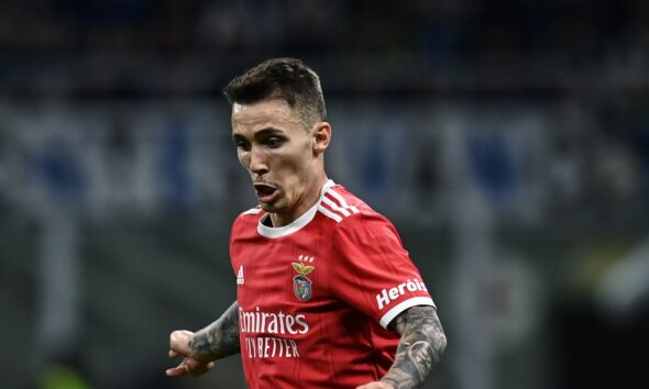 Alex Grimaldo