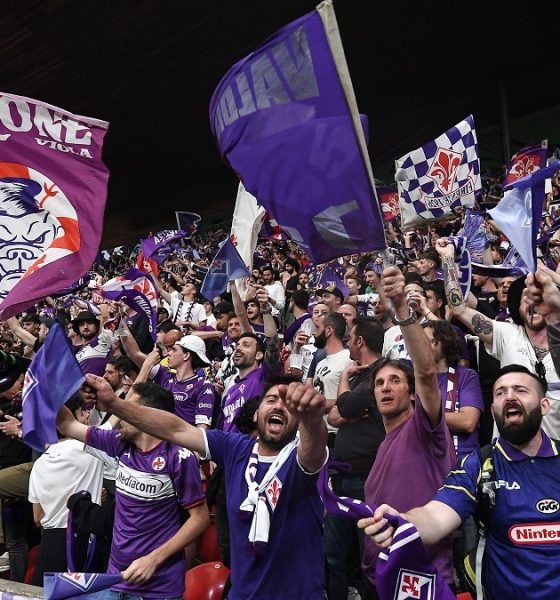 Fiorentina Tifosi