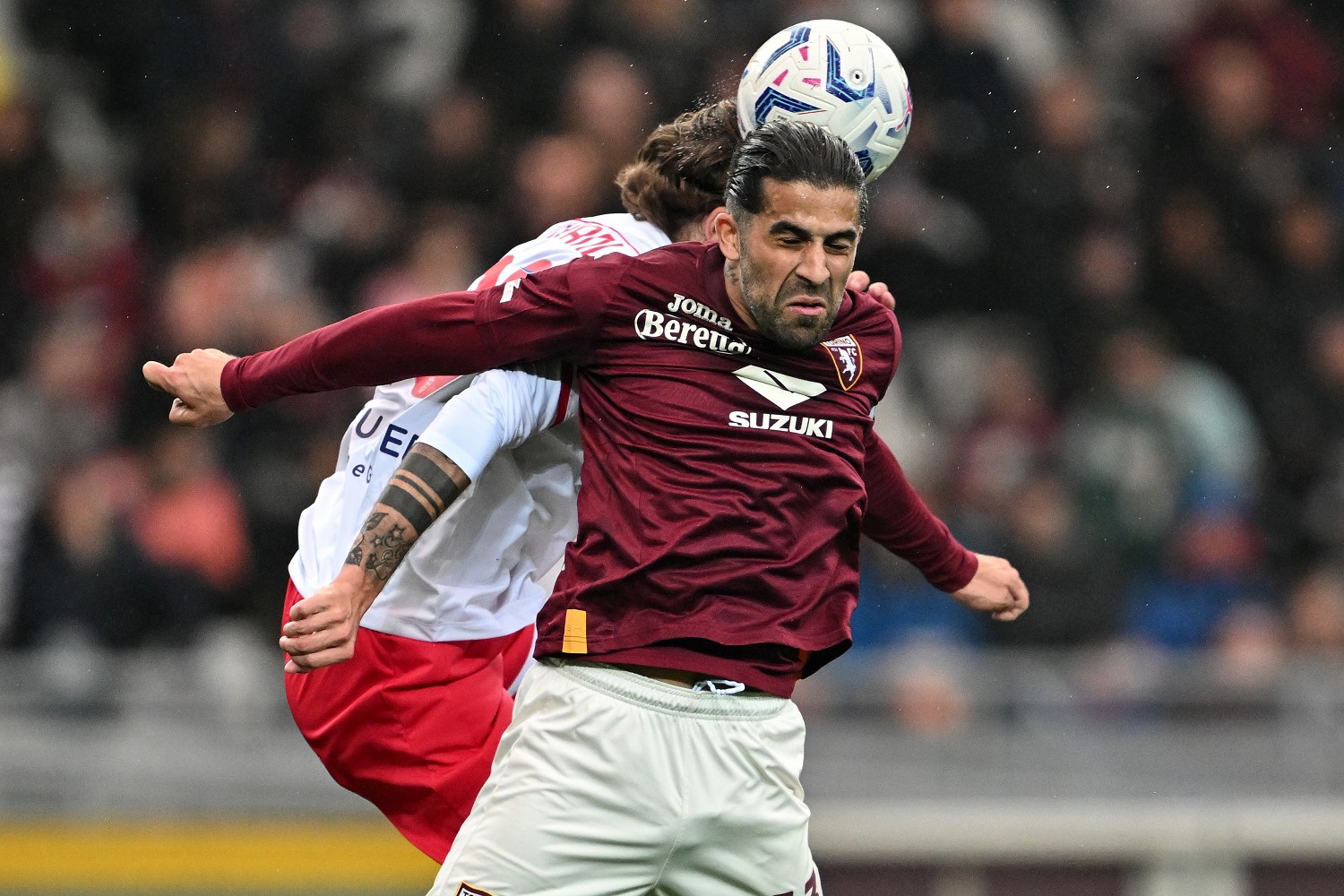 Rodriguez Colpani CM2 4599