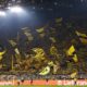 borussia dortmund tifosi