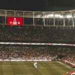 Stadio 3