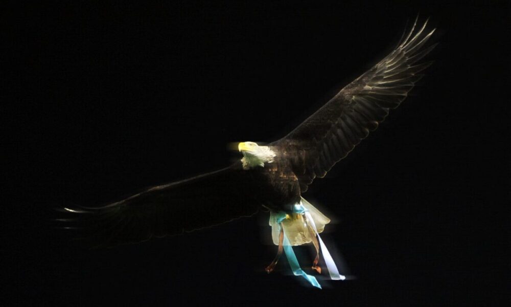 Caso Bernabè, l’ex falconiere a La Zanzara: «Non sono barricato! E’ arrivata la polizia ed è successo questo»