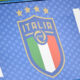 Logo Italia FIGC