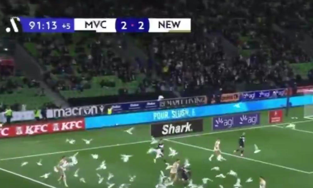 Australia, episodio incredibile: gabbiani invadono il campo e fermano Melbourne Victory–Newcastle Jets – VIDEO