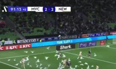 INVASIONE GABBIANI AUSTRALIA e1776520547644