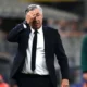 Il commissario tecnico del Brasile, Carlo Ancelotti
