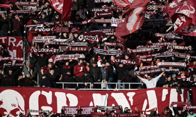 Tifosi Torino