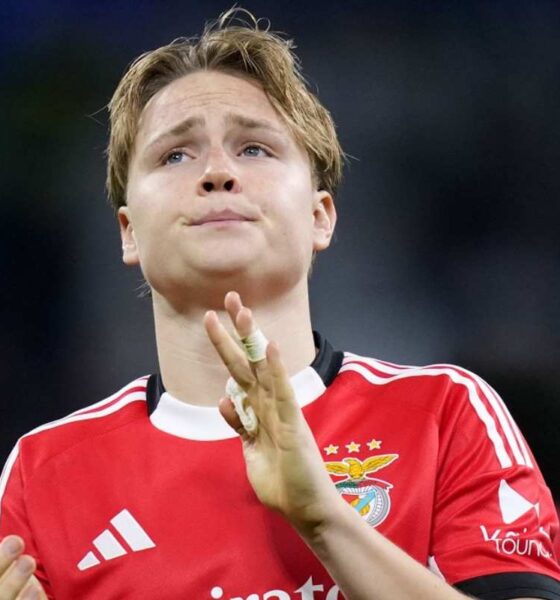 Schjelderup applaude