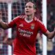 Schjelderup esulta dopo un gol col Benfica