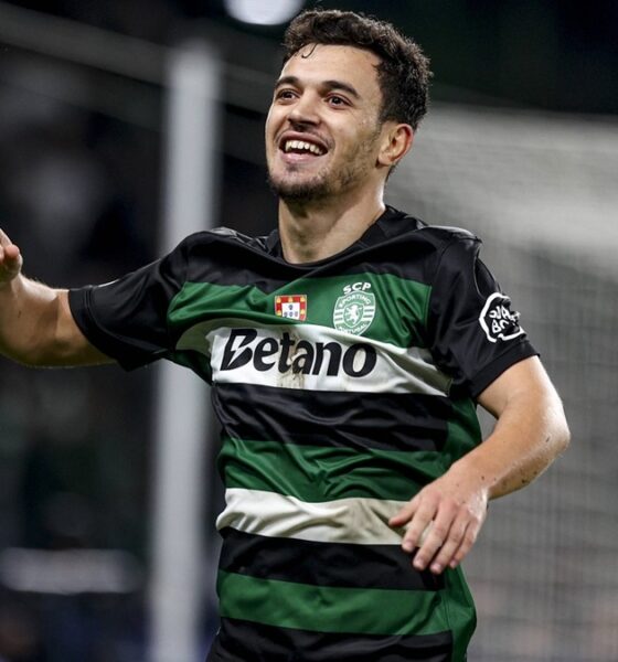 Pedro goncalves