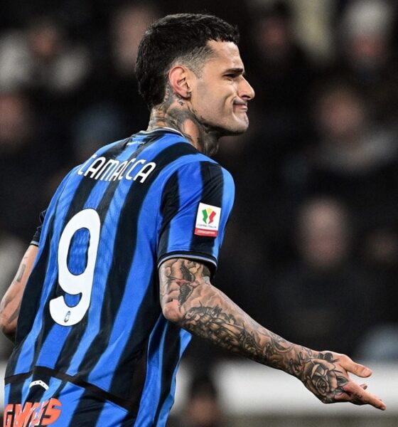 Scamacca