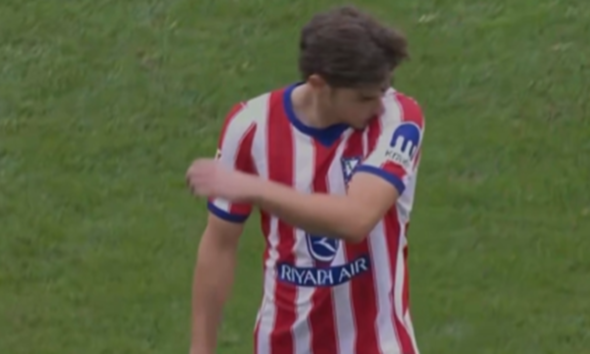 Julian alvarez